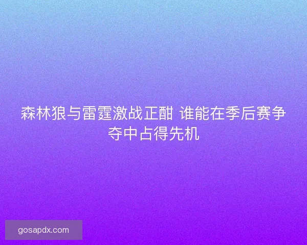 森林狼与雷霆激战正酣 谁能在季后赛争夺中占得先机