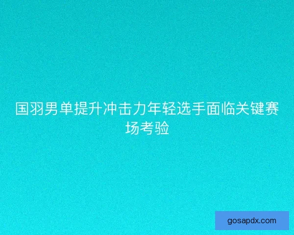 国羽男单提升冲击力年轻选手面临关键赛场考验