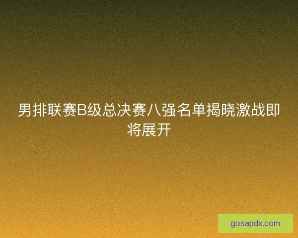 男排联赛B级总决赛八强名单揭晓激战即将展开
